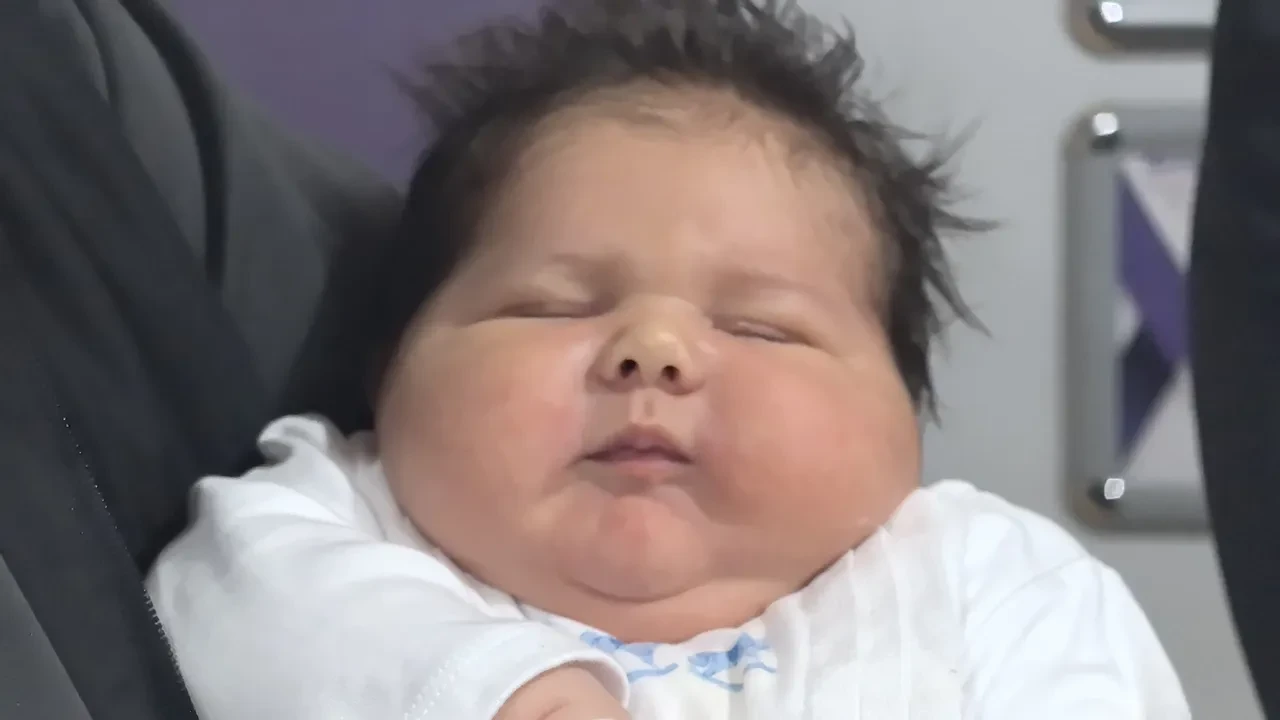 tosun bebek ali atilla 
