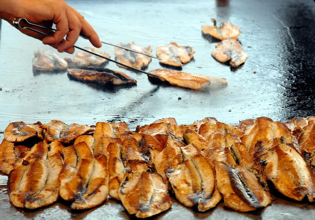 Yağlı Balık