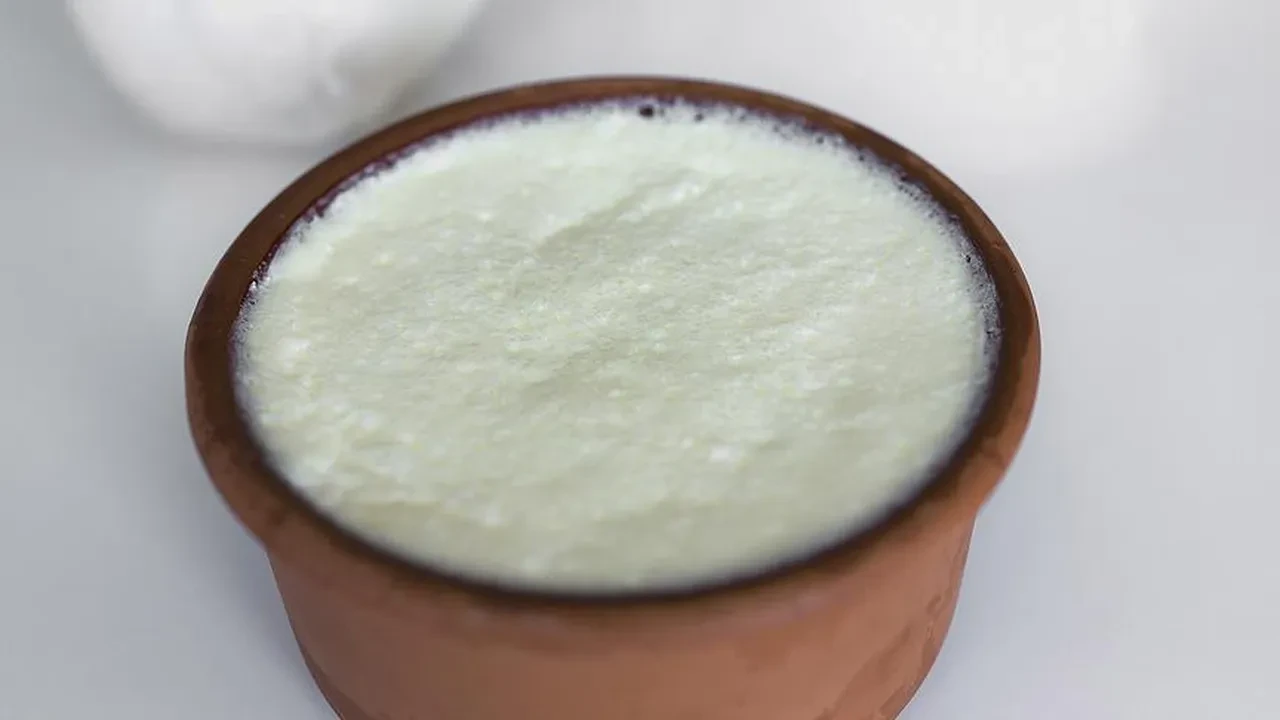 Yoğurt