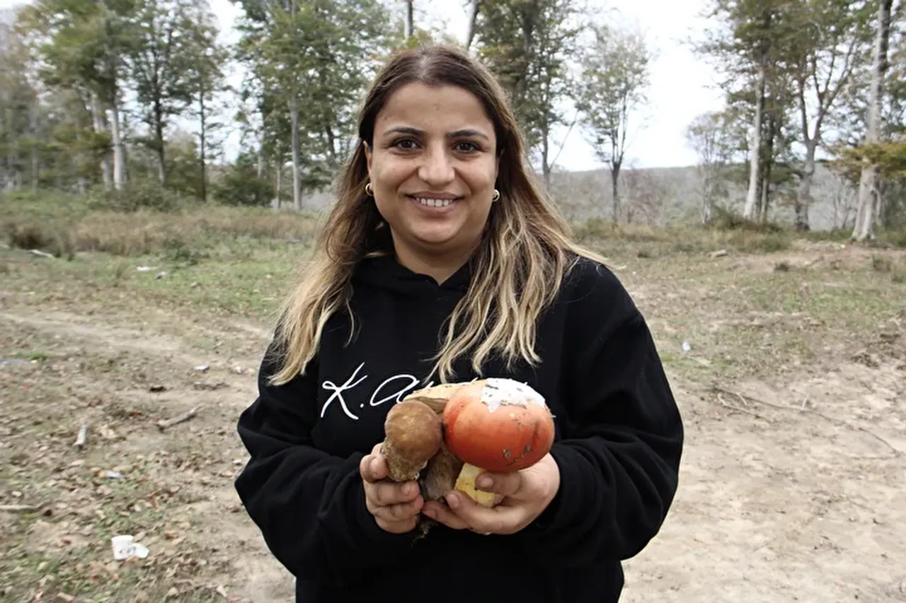 Fesleğen mantarı kilosu