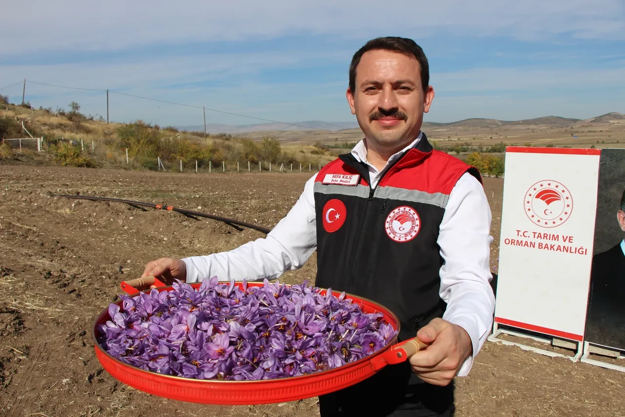 safran