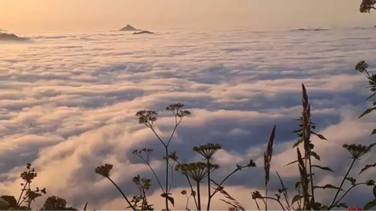 karadeniz hava durumu 