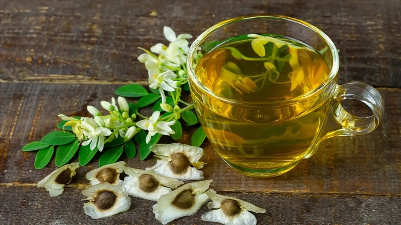 YEŞİL ÇAY VE MATCHA: YAĞ HÜCRELERİNİN KORKULU RÜYASI OLAN KATEŞİN DEPOSU