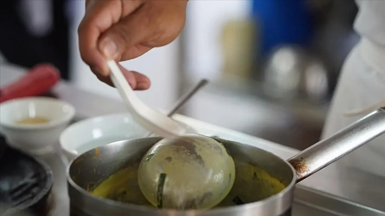 GIDA ZEHİRLENMESİ NEDEN VE NASIL ORTAYA ÇIKAR?