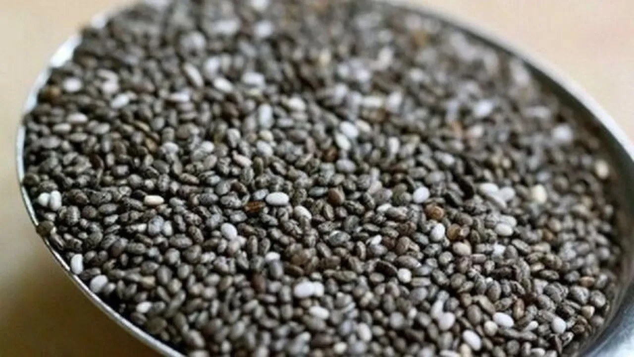 YAĞLARI YOK EDEN BESİNLER