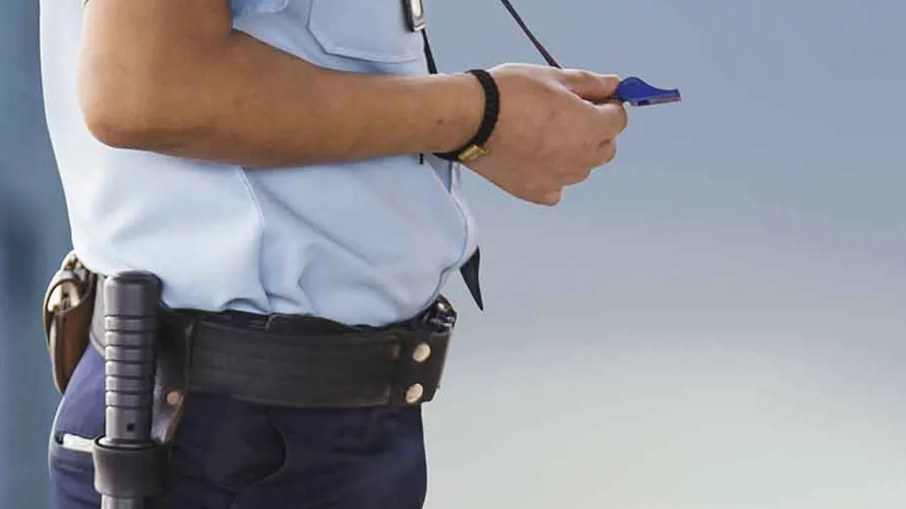 Özel Güvenlik Görevlisi 