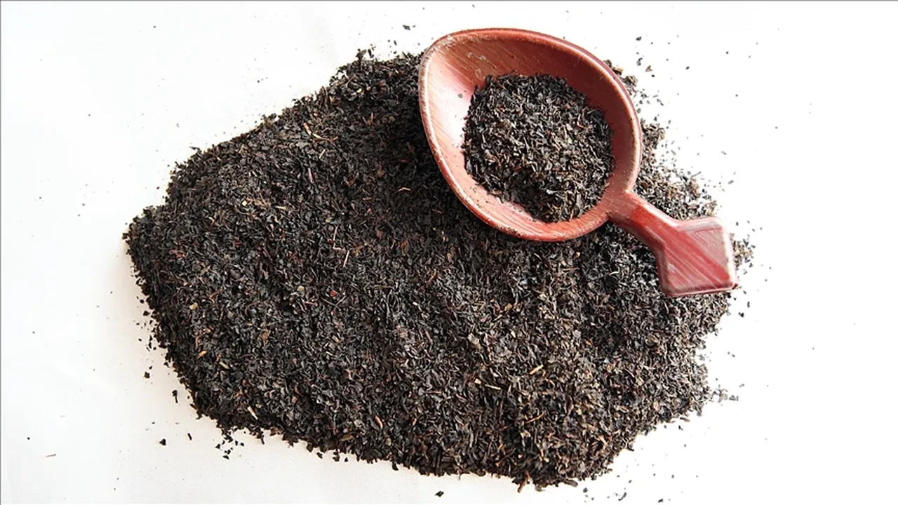 SİYAH ÇAYIN GÖZENEKLERİ SIKIŞTIRAN ETKİSİ