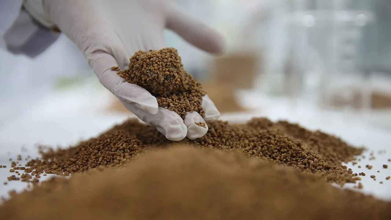 ARACIN İÇİNDEKİ GİZLİ NEMİ YOK EDEN KEDİ KUMU MUCİZESİ