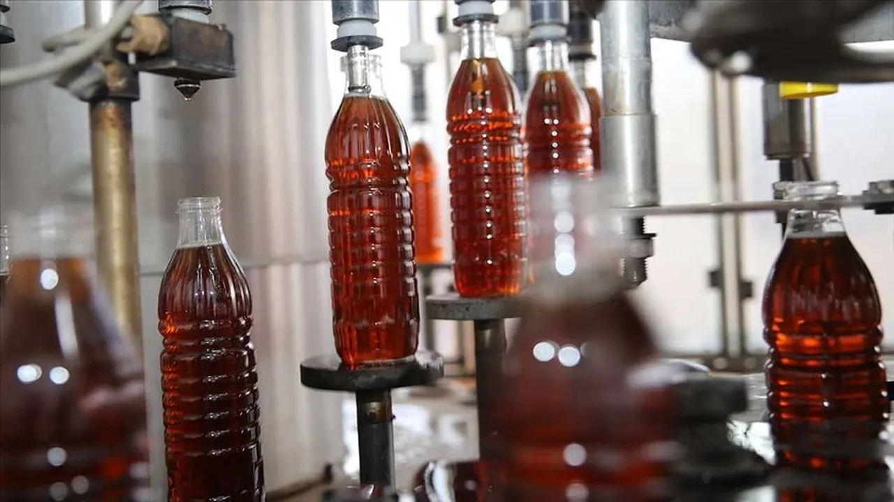 SİRKENİN ASİDİK GÜCÜYLE BAKTERİLERE SAVAŞ AÇIN