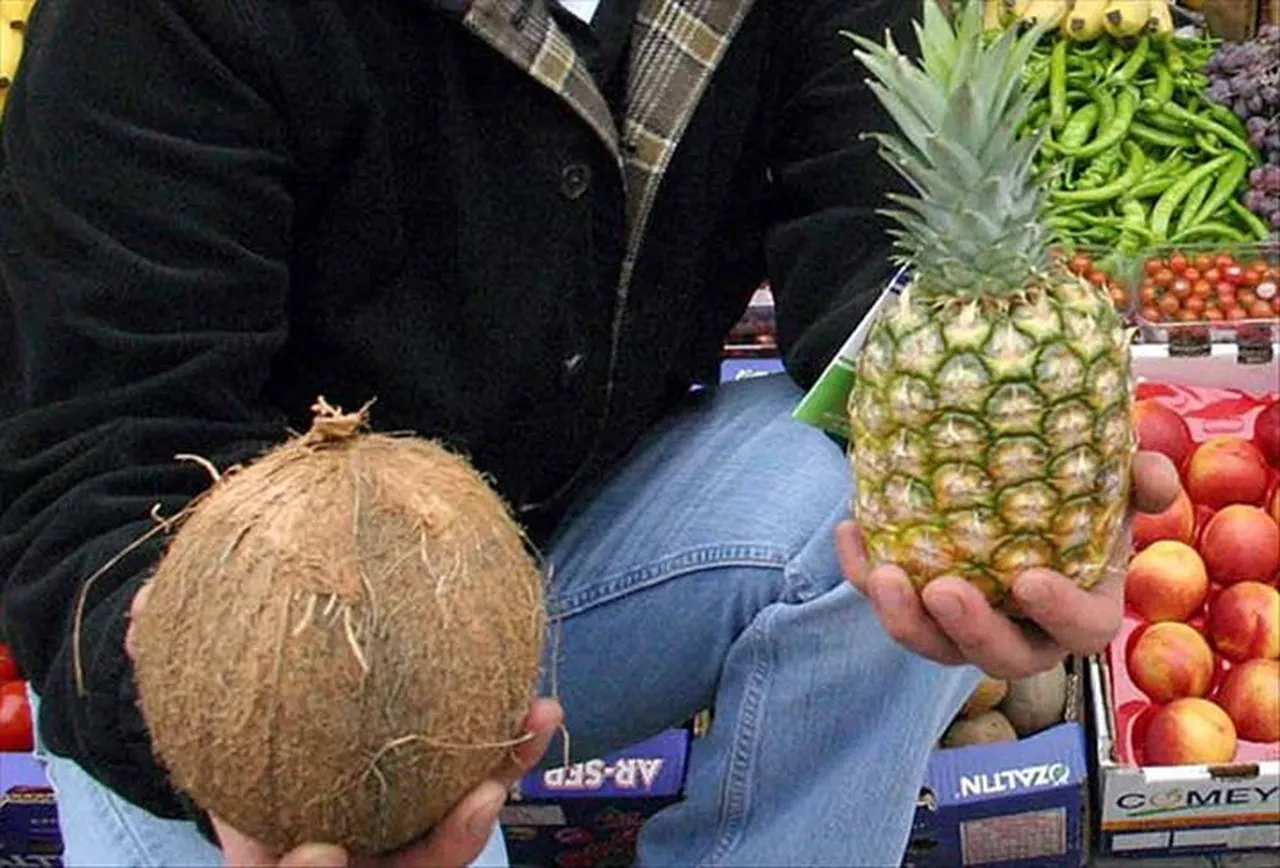 HİNDİSTAN CEVİZİ ŞEKERİ: KARAMELİMSİ LEZZETİN SAĞLIKLI HALİ