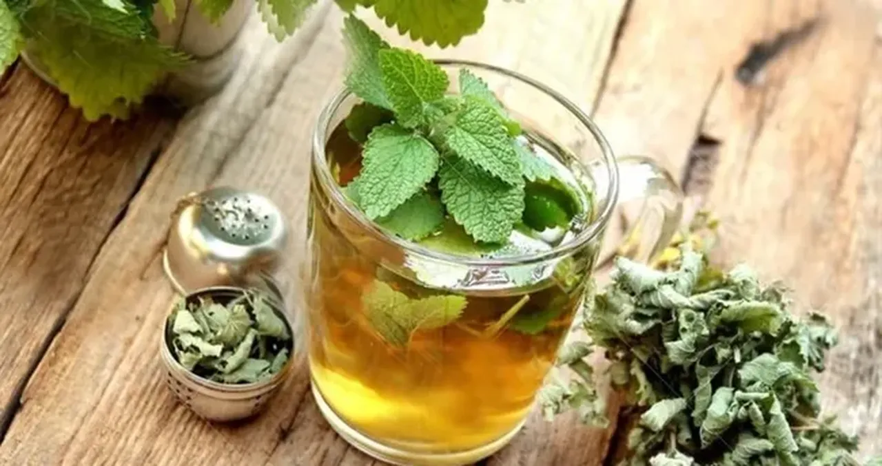 MELİSA ÇAYI: LİMON KOKULU SAKİNLİK VE ODAKLANMA GÜCÜ