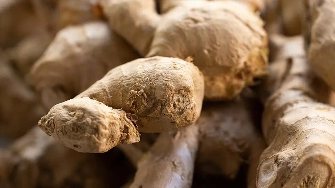 KEKİK VE ZENCEFİLİN SOLUNUM YOLLARINI RAHATLATAN SİNERJİSİ