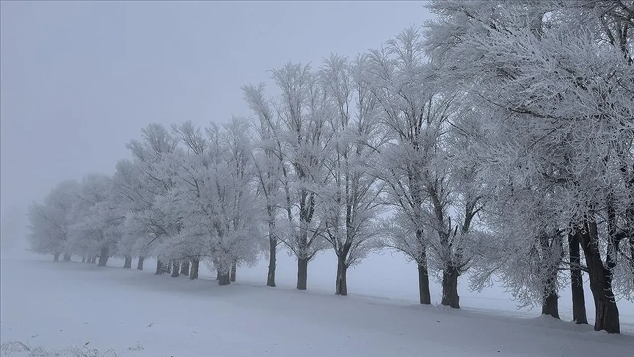 Dünya'nın en soğuk yeri