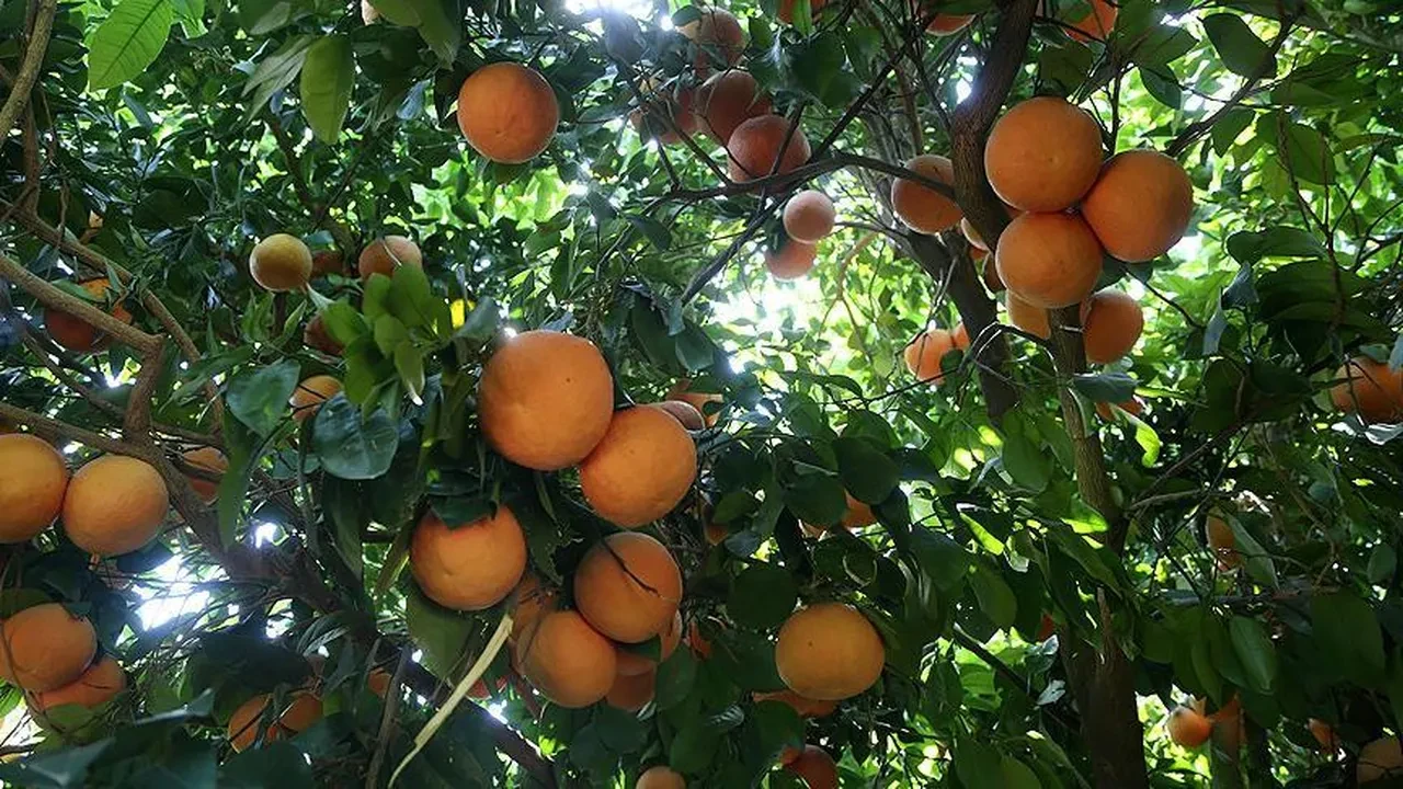 ZAMANLAMA KURTARICI DEĞİL