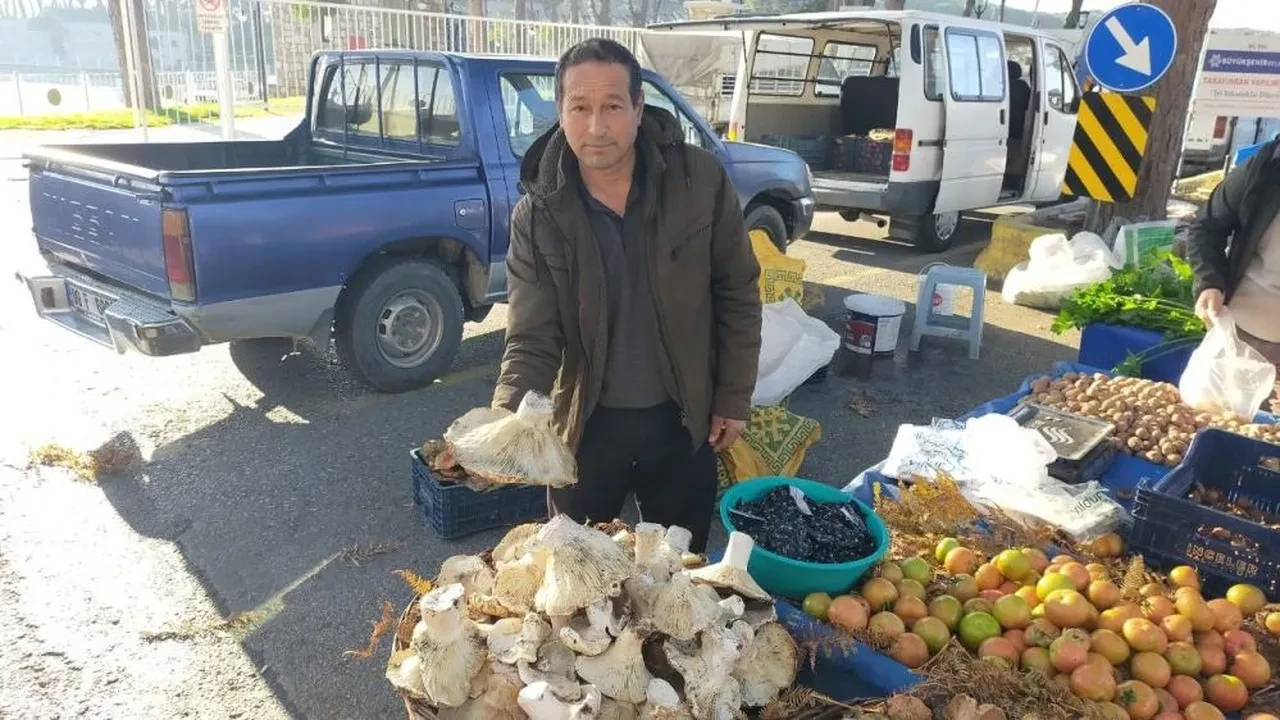  Aydın'daki dev mantarlar pazarda ilgi odağı oldu! Görenler inanamadı 