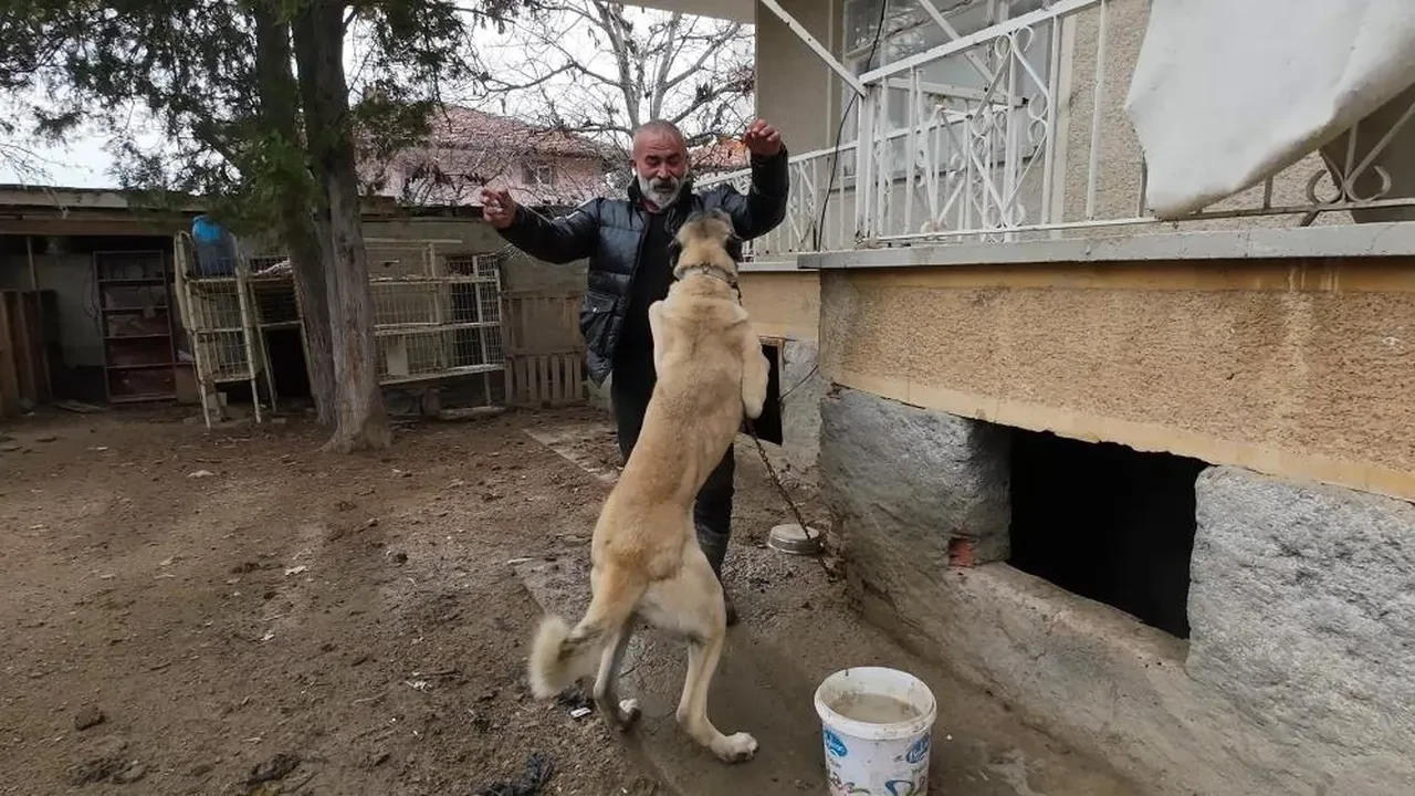 Asgari ücreti bırakıp köyüne döndü, paraya para demiyor! 'Herkes yiyebilsin diye 2 bin liradan satıyorum'