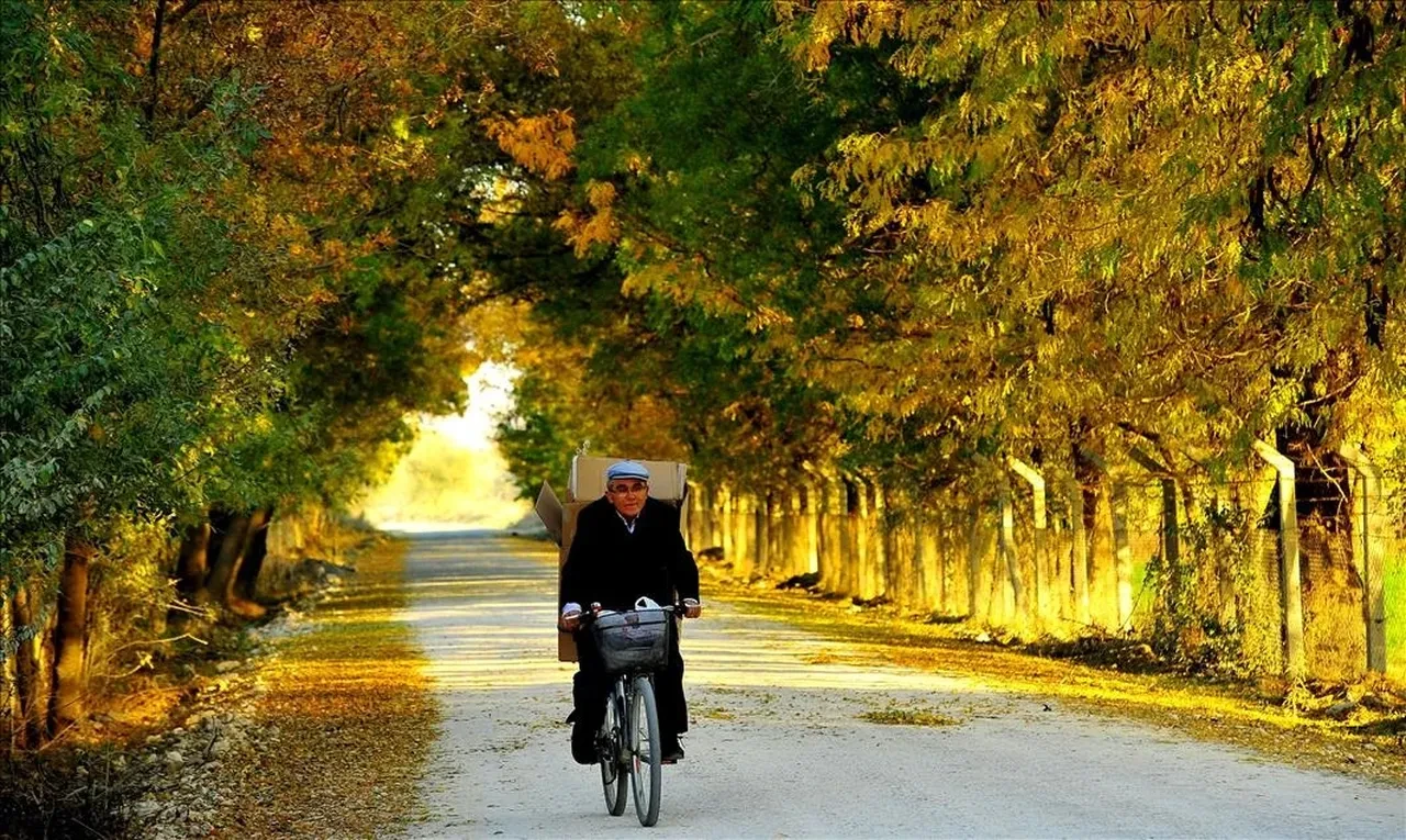 Türkiye’nin para babası illeri belli oldu! İşte kişi başı gelire göre en zengin şehirler listesi 