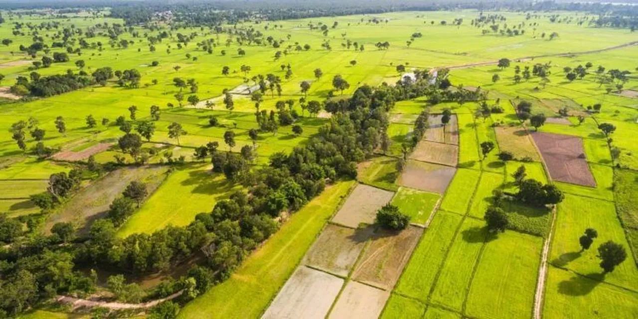 Arsa ve tarla satın alırken 'zengin olmanın' şifresi! Mert Başaran canlı yayında açıkladı   