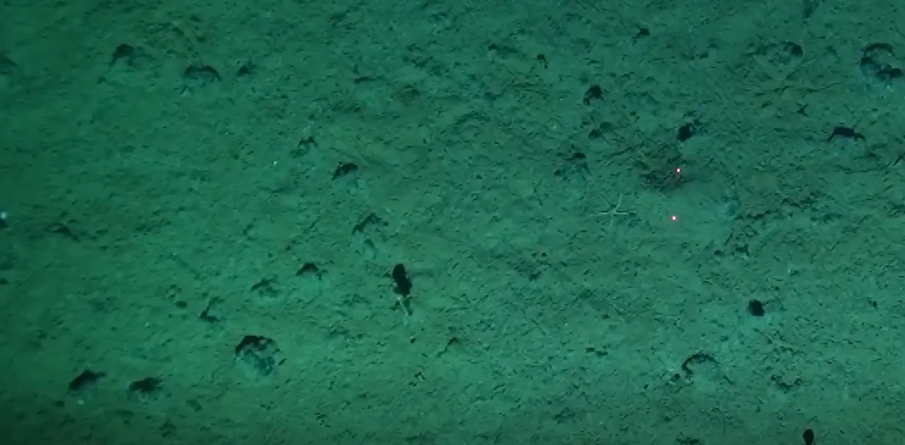 Bilim insanları şaşkın2