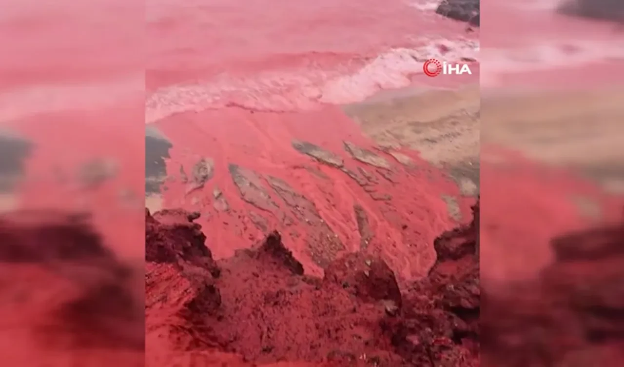 Kızıl Sahil'de deniz suyu kızıla döndü