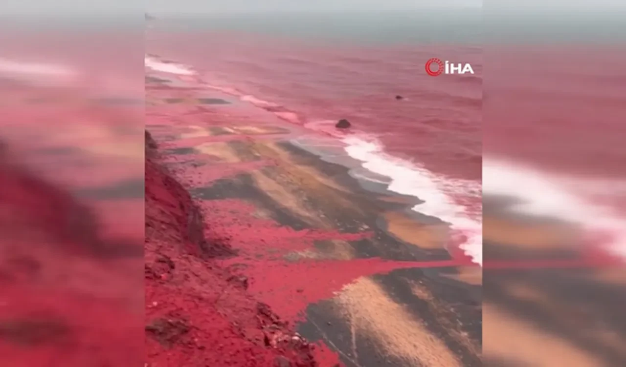 Kızıl Sahil'de deniz suyu kızıla döndü