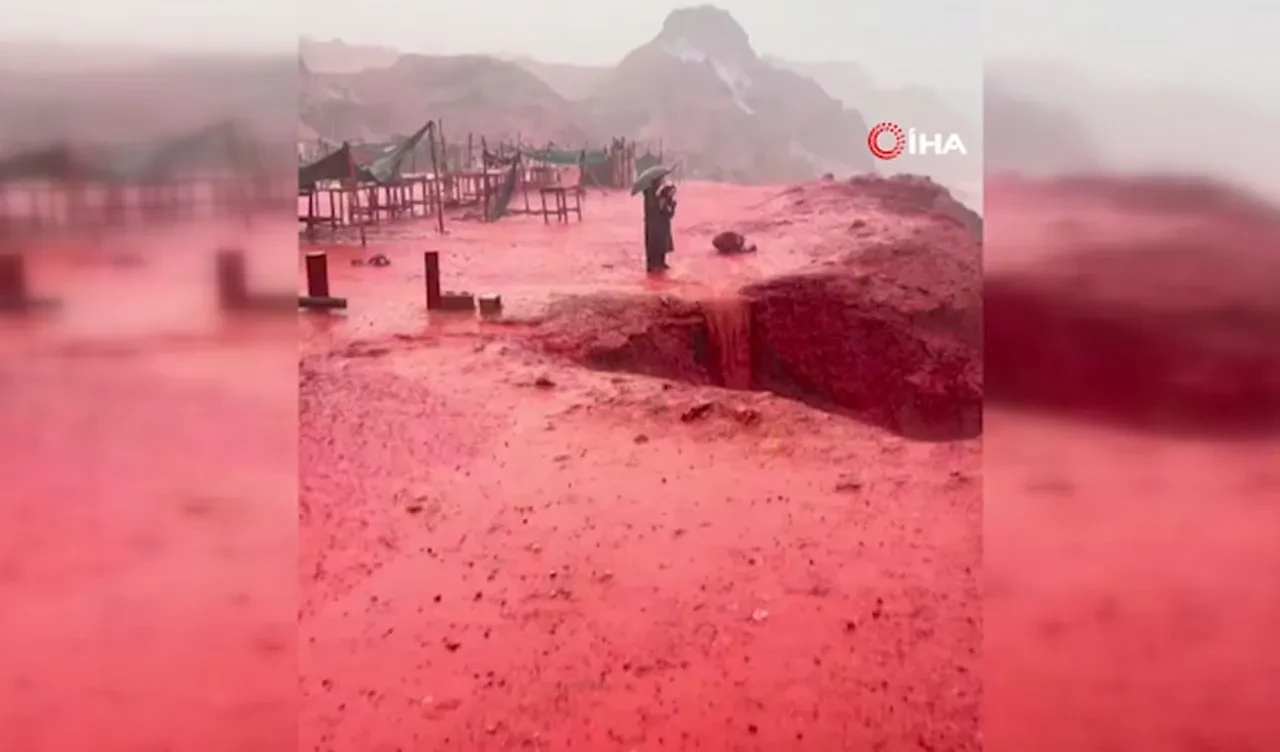 Kızıl Sahil'de deniz suyu kızıla döndü