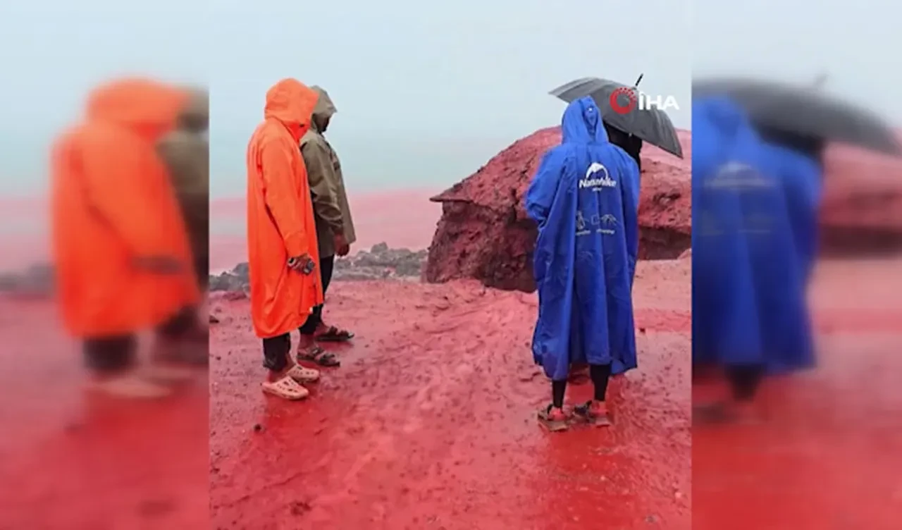 Kızıl Sahil'de deniz suyu kızıla döndü