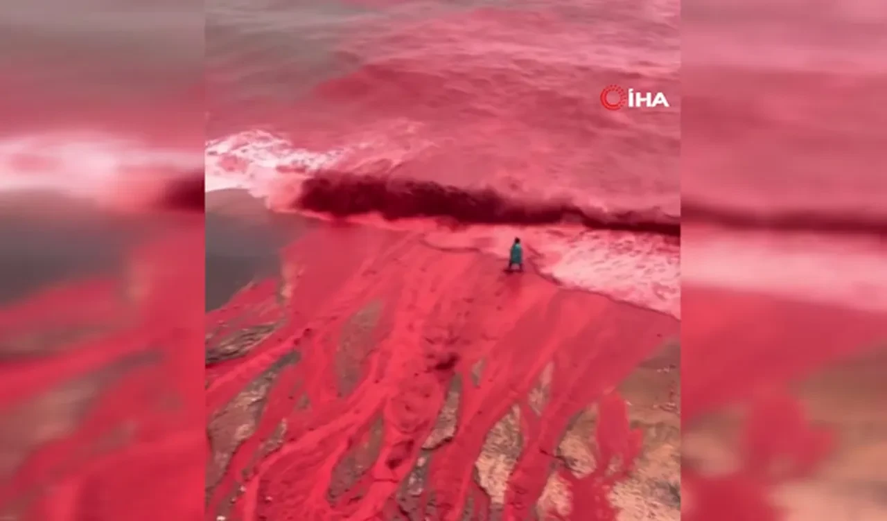 Kızıl Sahil'de deniz suyu kızıla döndü