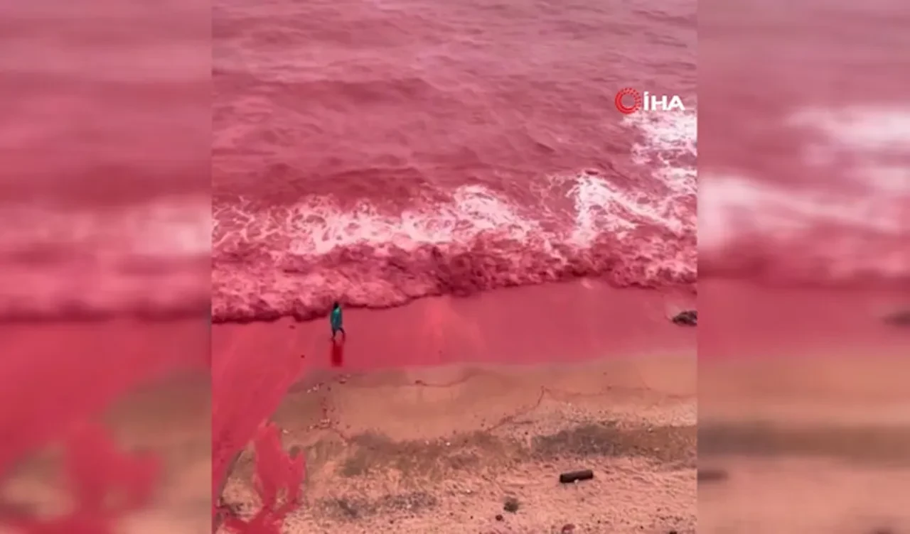 Kızıl Sahil'de deniz suyu kızıla döndü