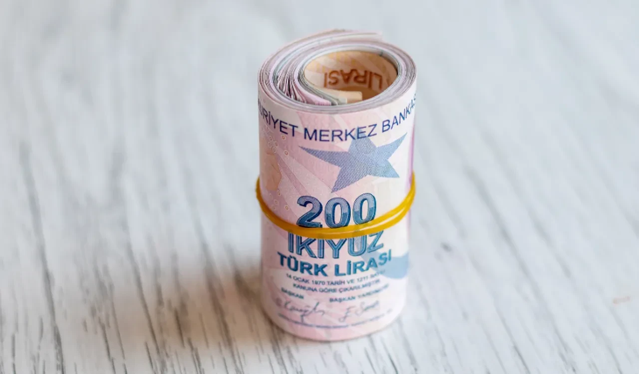 SAYAÇ DEĞİŞİMİ