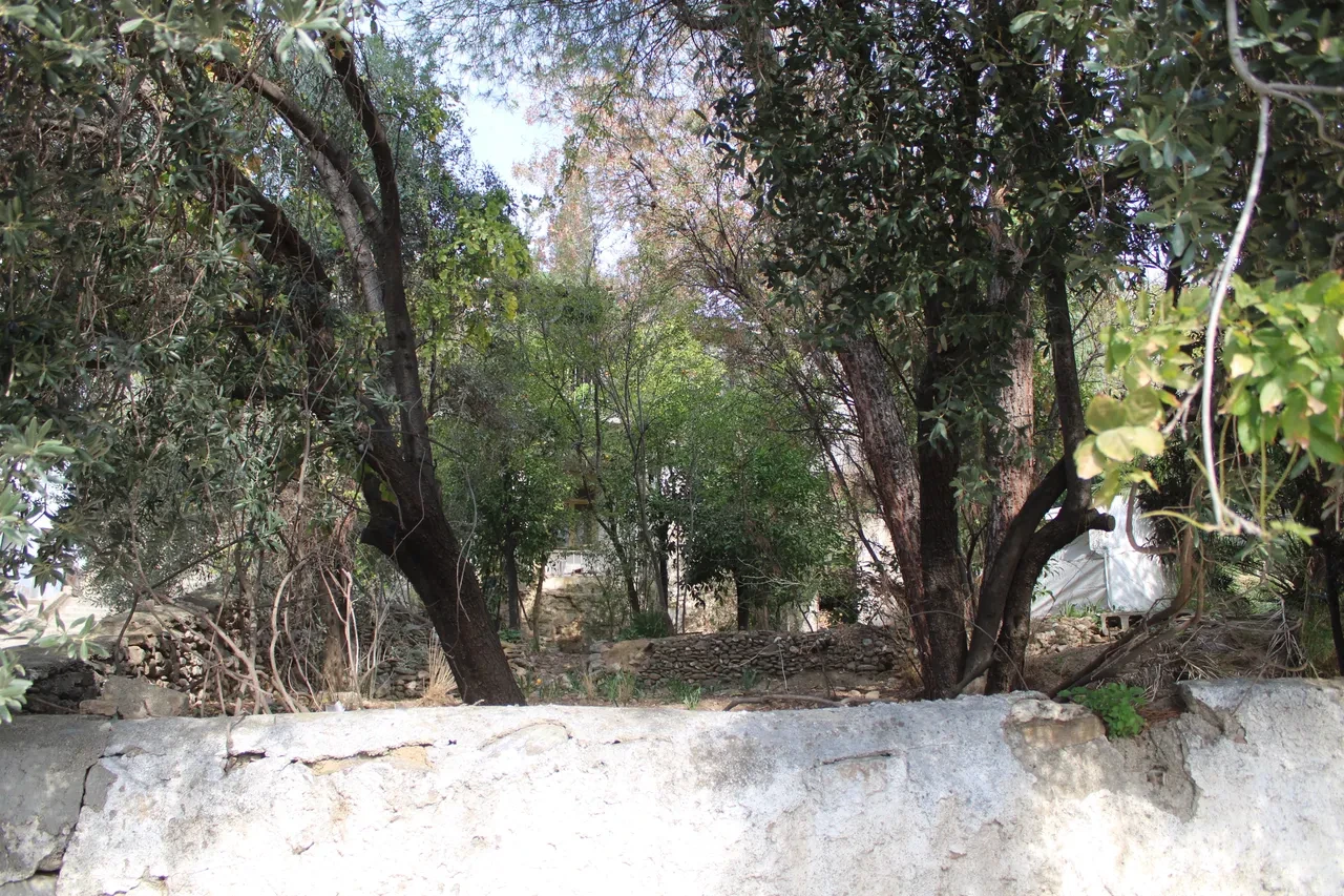 "Bizi defineci zannettiler"