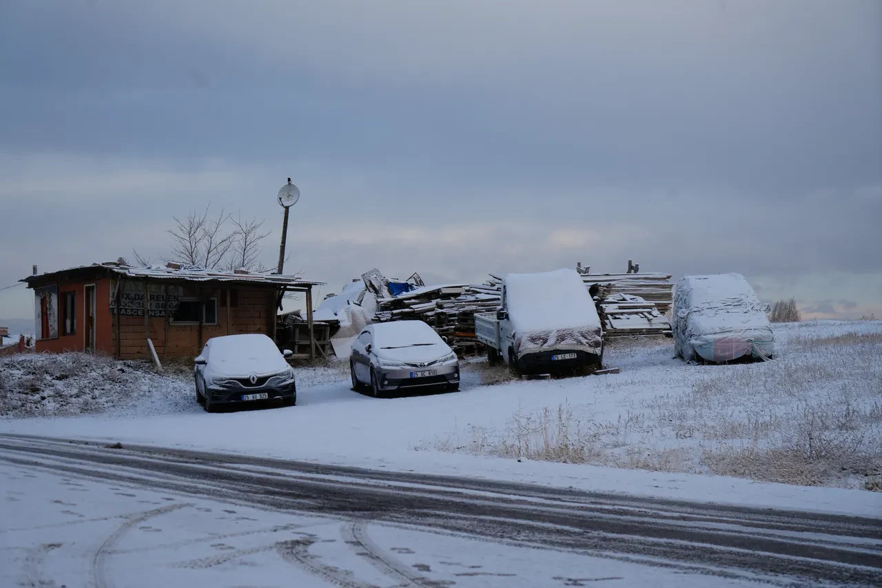 Erzurum'da kar 