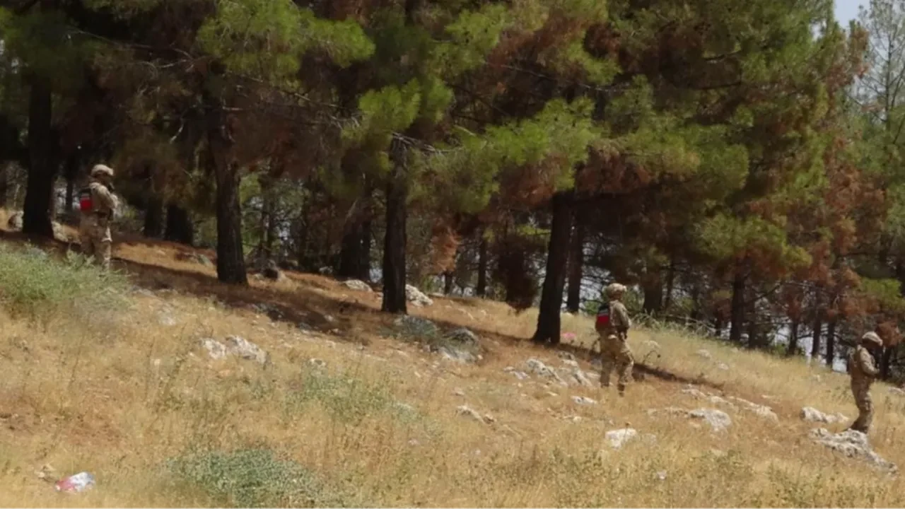 orman yangını, jandarma, Adıyaman 