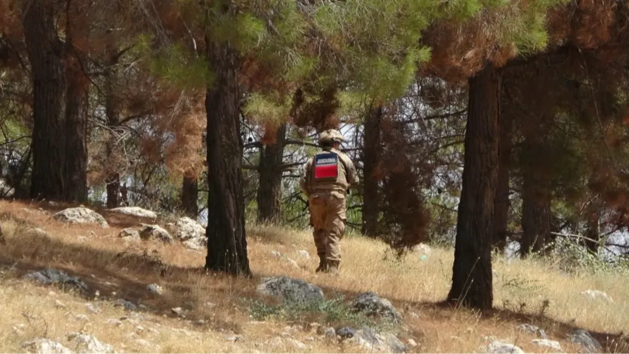 orman yangını, jandarma, Adıyaman 