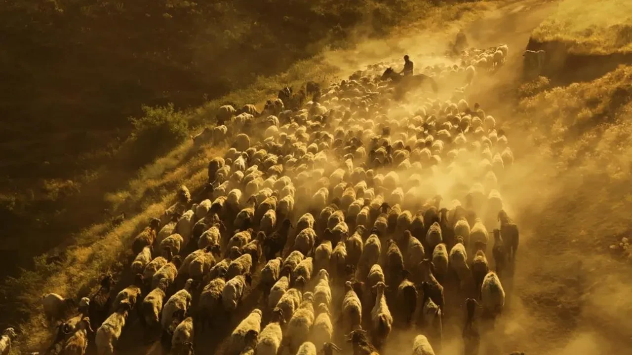 Bitlis, Tatvan, Nemrut Dağı 