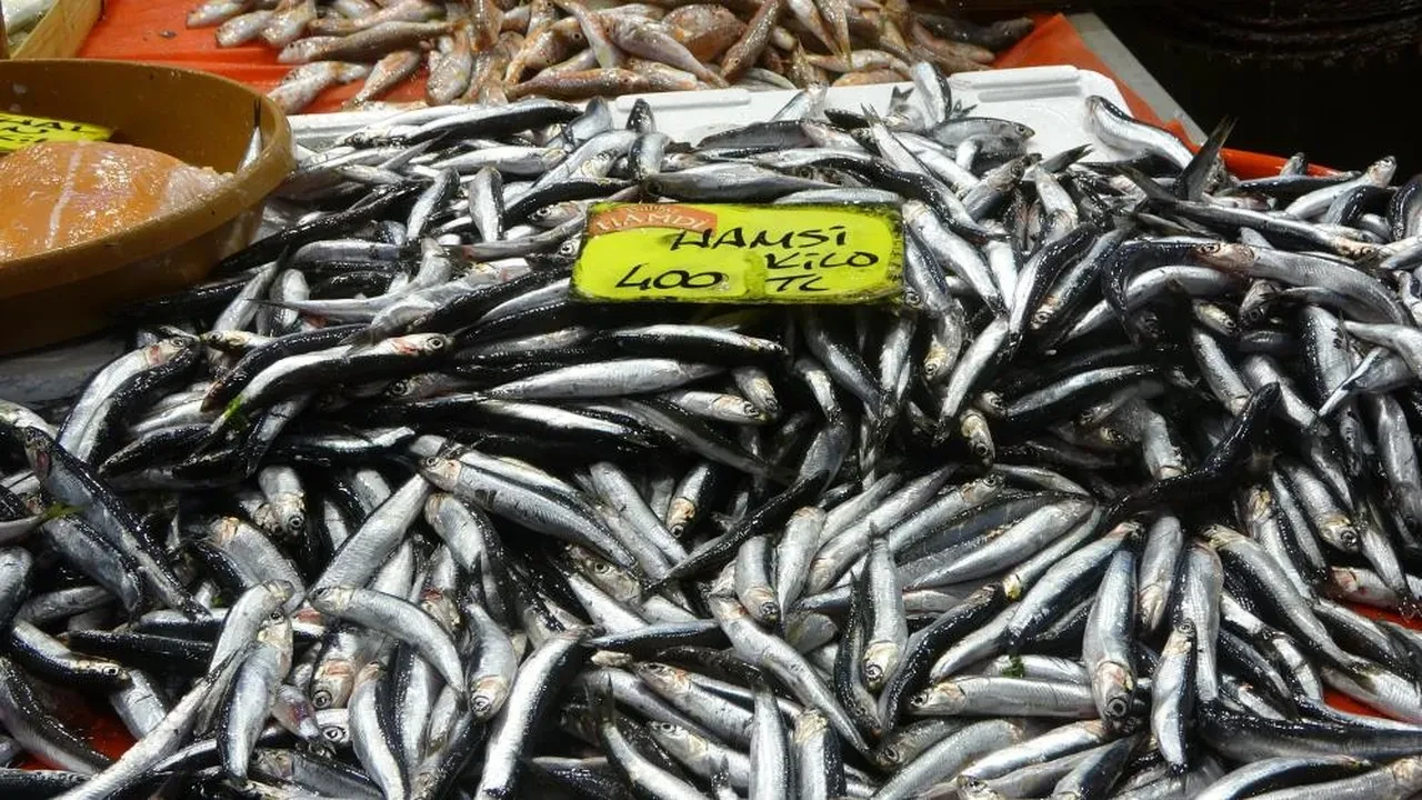 Fiyatlar daha da düşecek! Balıkçılardan müjde geldi: Bolluk bekleniyor