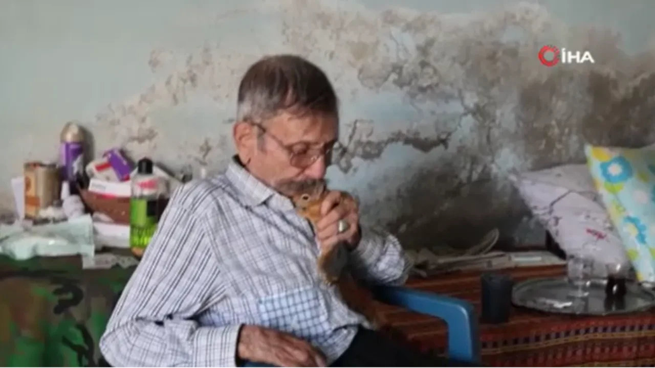 Yaşlı adam ve sincabı kamerada! 'Hayatımdaki tek varlık'