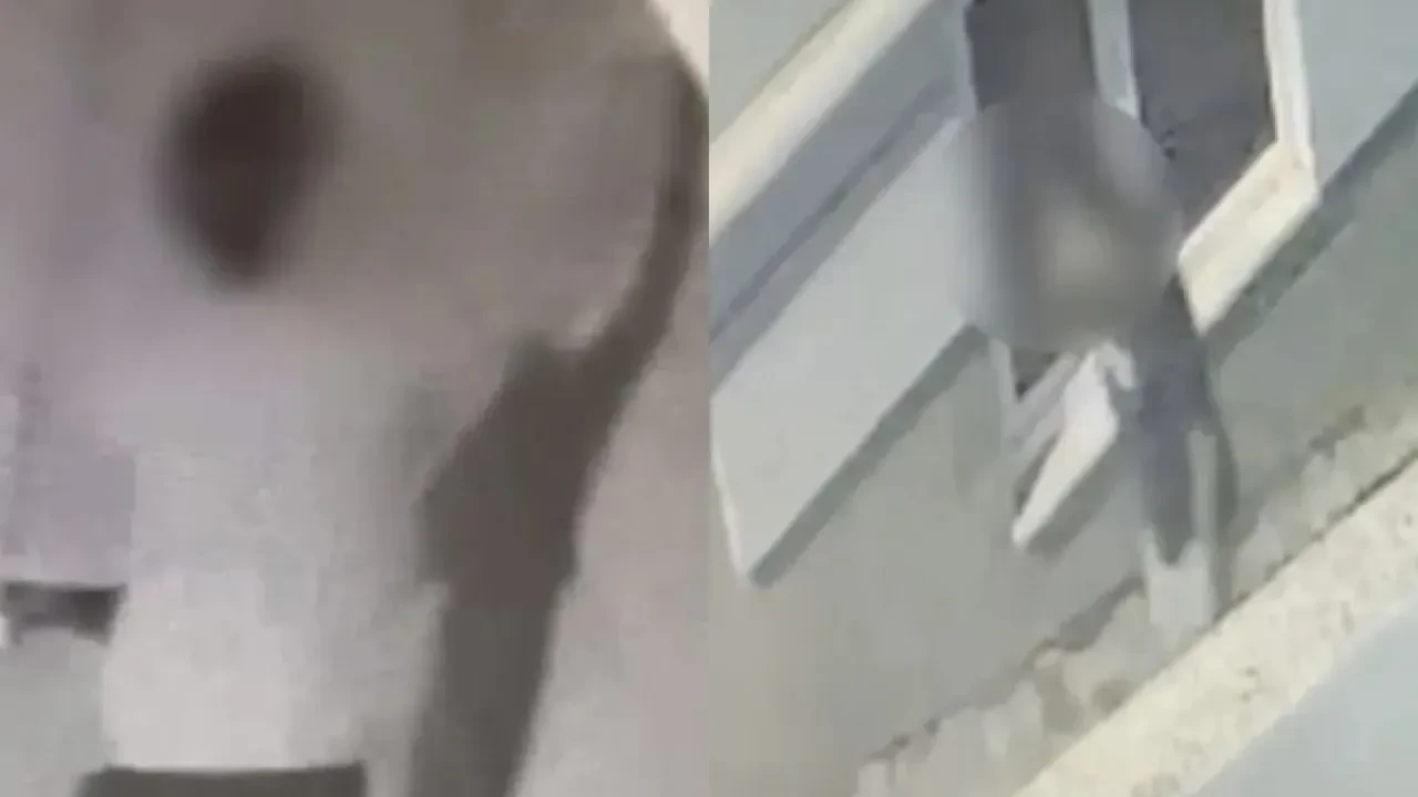 Örümcek adam gibi hırsız!