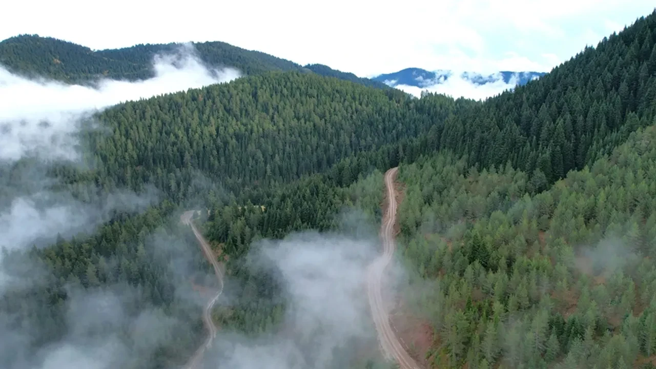 Valilik uyardı: Konumunuzu yakınlarınızla paylaşın