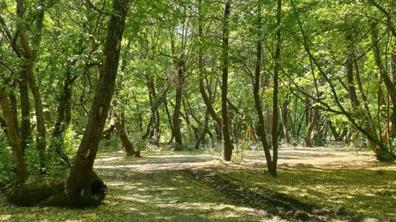 Valilik uyardı: Konumunuzu yakınlarınızla paylaşın