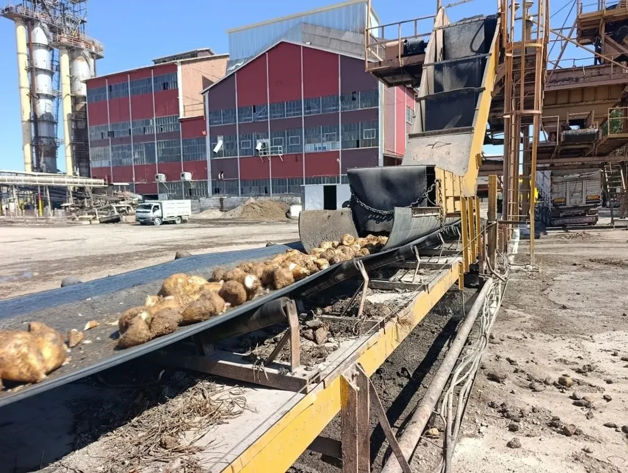 Yediğimiz şekerde 'metal kalıntısı' uyarısı! Bakanlık hemen harekete geçti