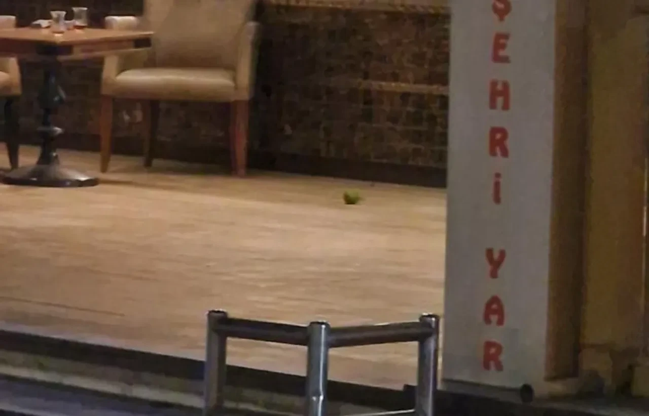 Pastaneye el bombasıyla saldırı olayının perde arkası: 70 milyon TL detayı