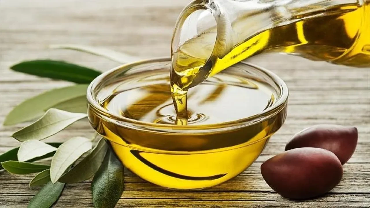 Antalya 2200 yıllık zeytin mirasını canlandırıyor