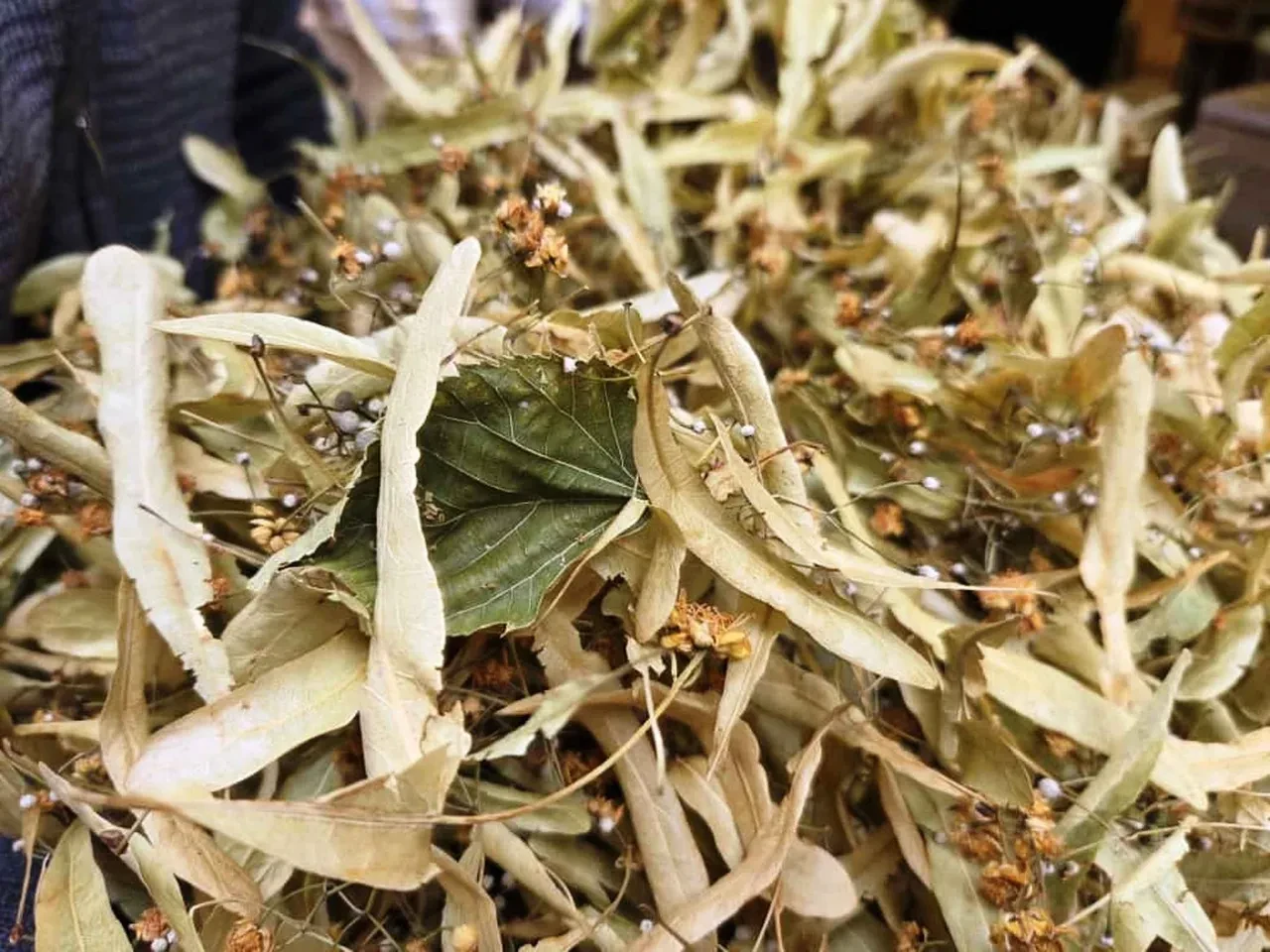 Havalar soğudu, ıhlamur satışları fırladı