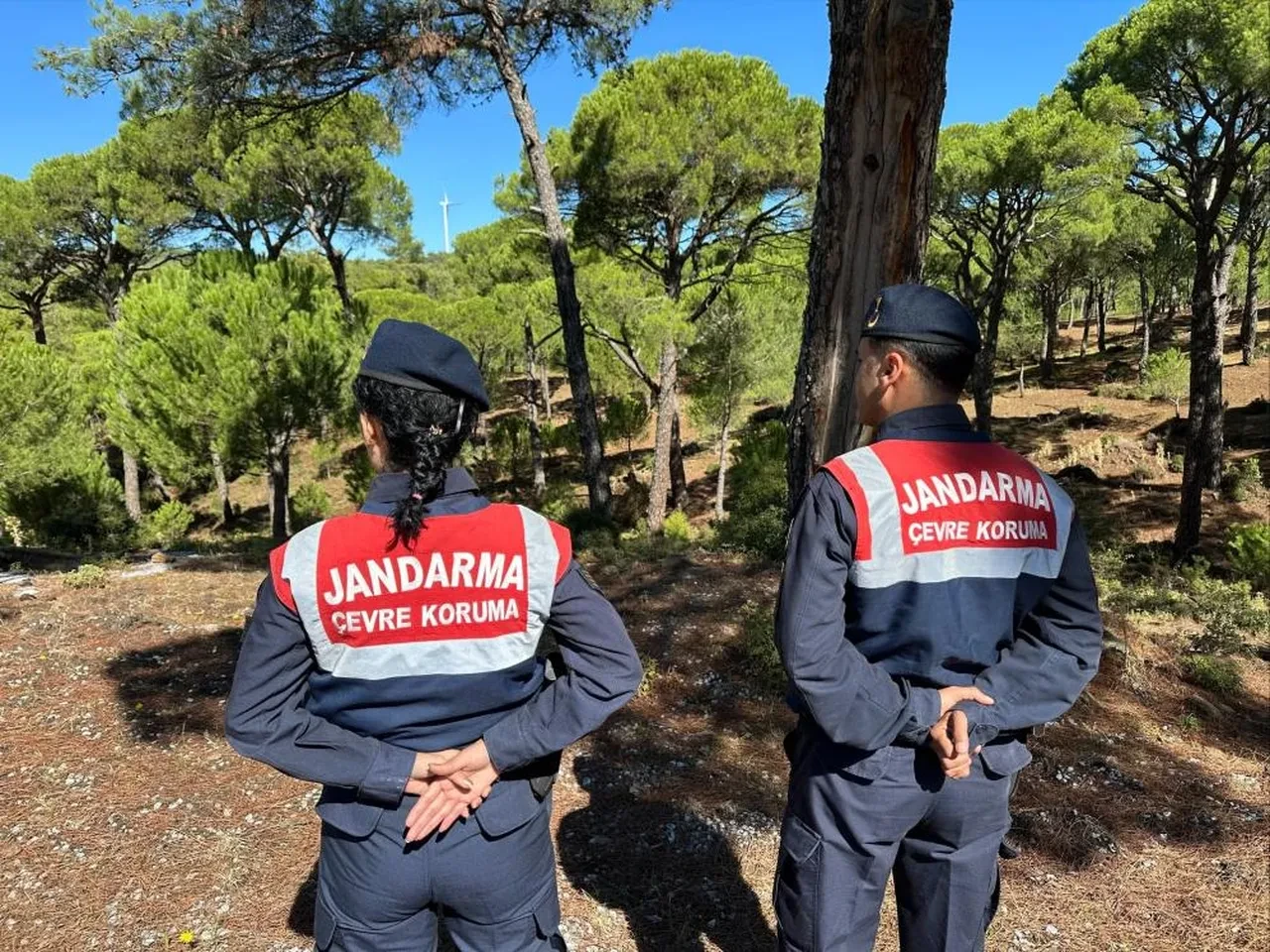 Jandarma ekipleri denetimde: Bu çiçeği koparana 557 bin TL ceza!