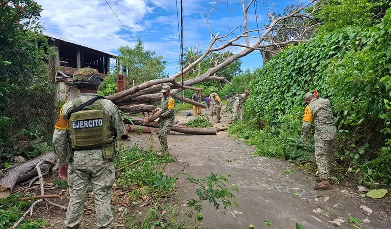 Meksika'da sel felaketi! Çok sayıda ölü var