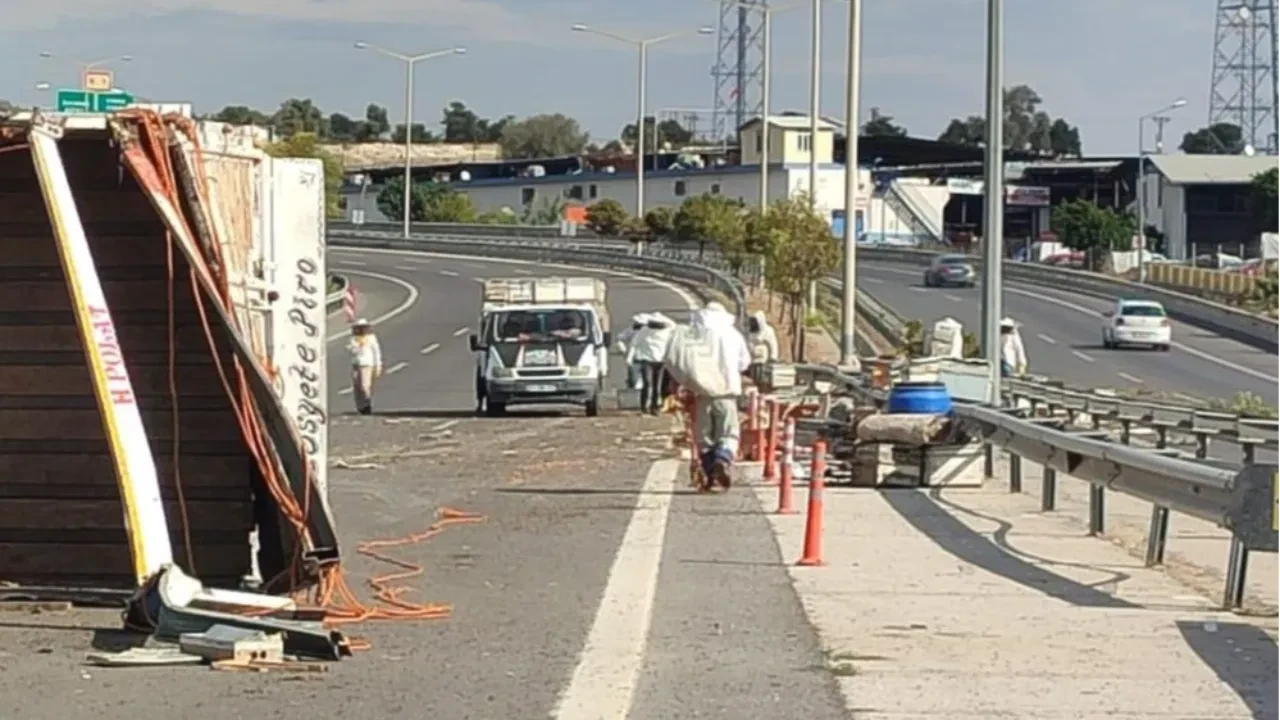 Arı istilası! Otoyol karıştı, sürücüler zor anlar yaşadı