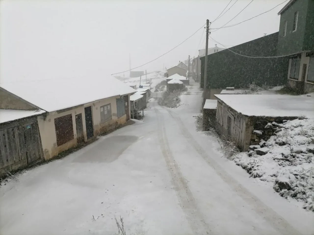 Gümüşhane'de kar yağışı! Her yer beyaza büründü