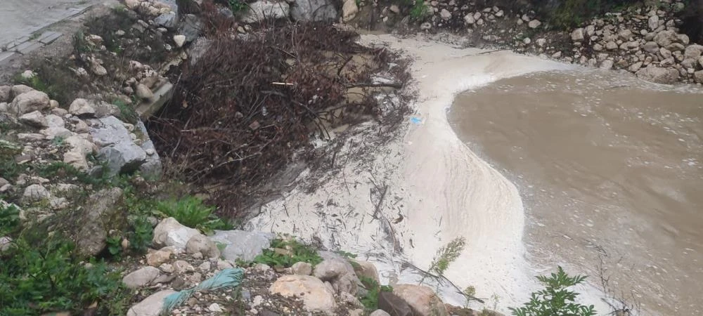 Bartın’da mahsur kalan inekler 2.5 saatlik operasyonuyla kurtarıldı