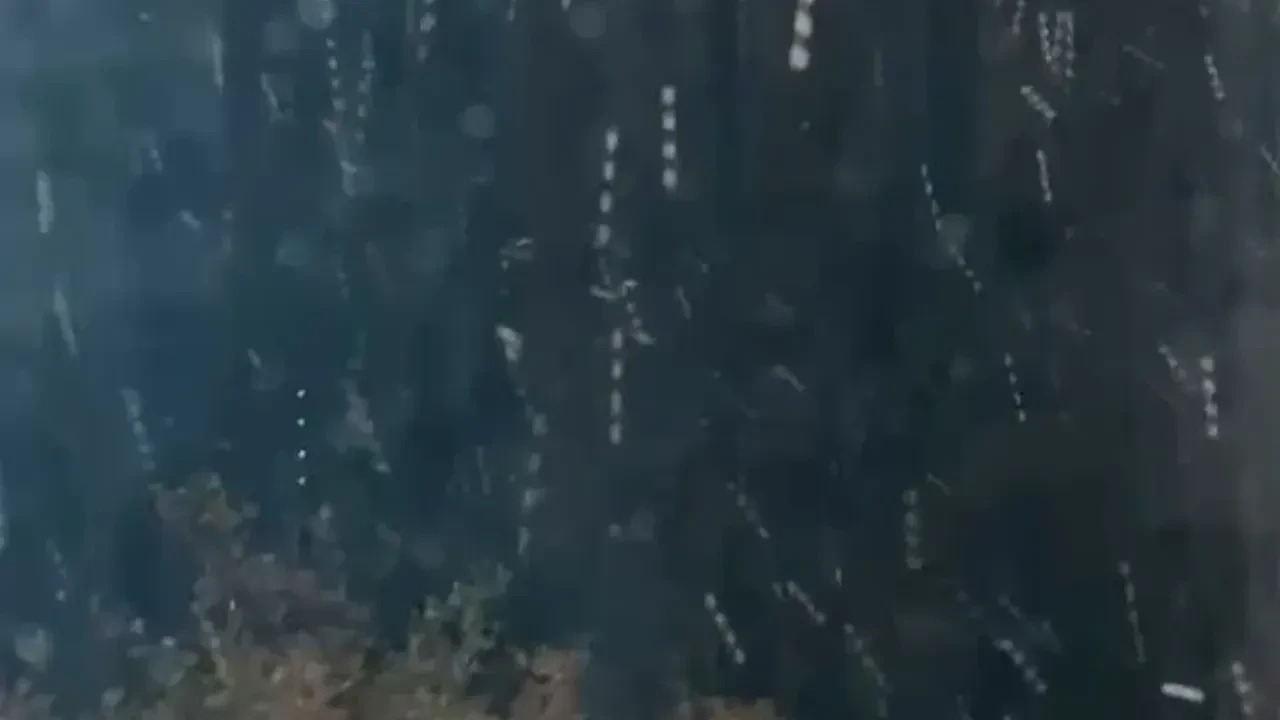 Ilgaz’da kar yağışı başladı